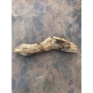 Natural Driftwood for Plants Terrarium Taxidermy Art Projects